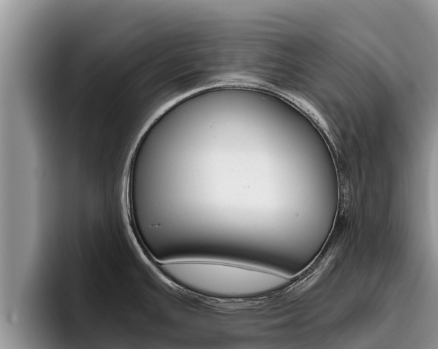 X0000096221391200801181020