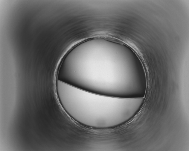 X0000096221392200801181020