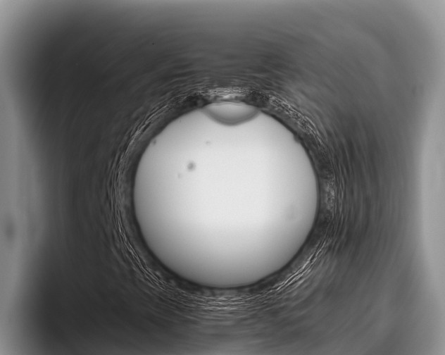 X0000096221393200801181020
