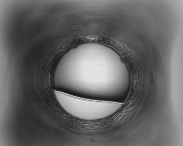 X0000096221394200801181020