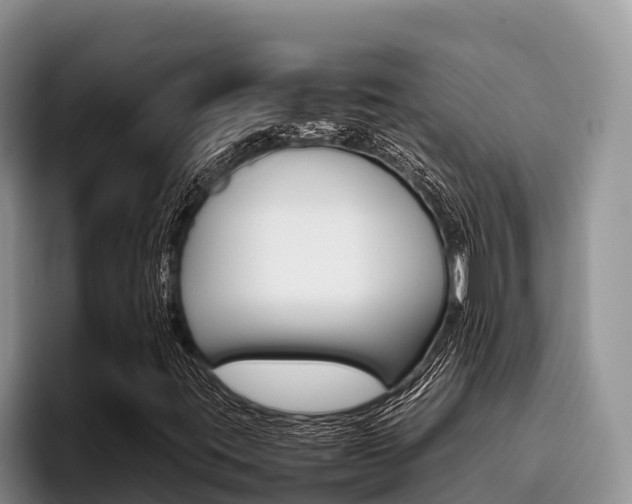 X0000096221395200801181020