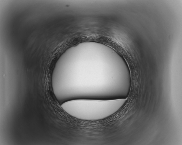 X0000096221397200801181020
