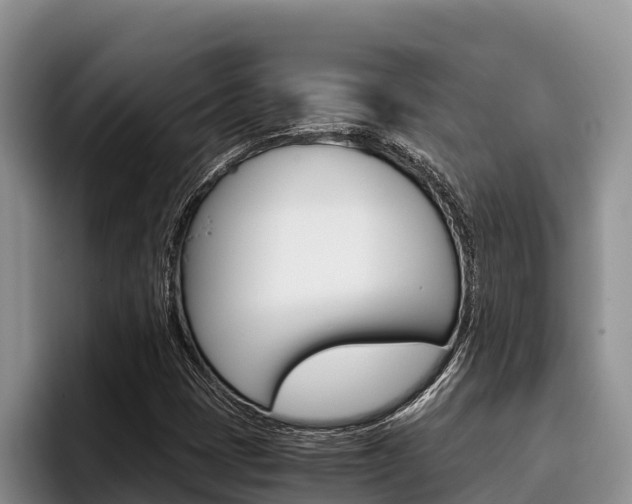 X0000096221401200801181020