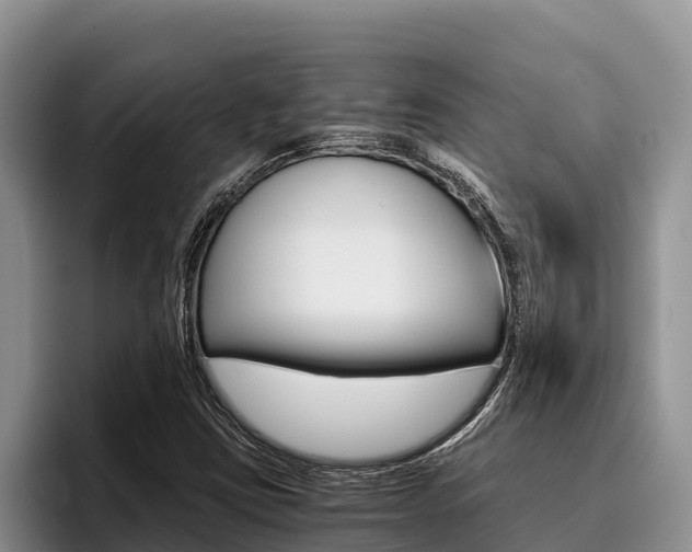 X0000096221403200801181020