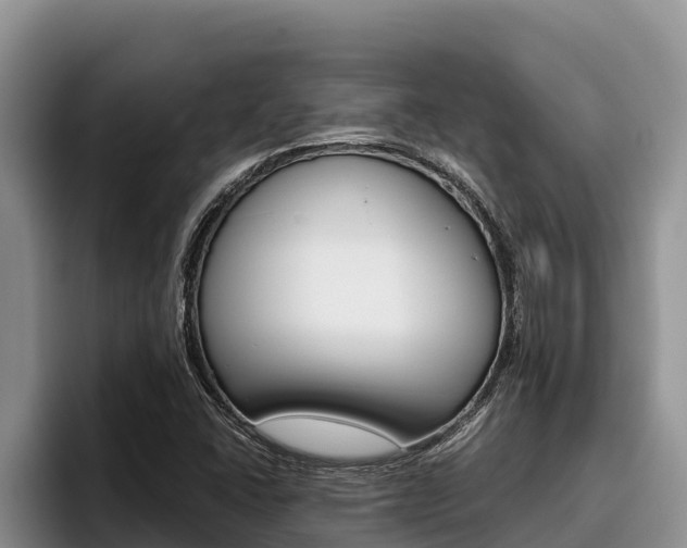 X0000096221406200801181020