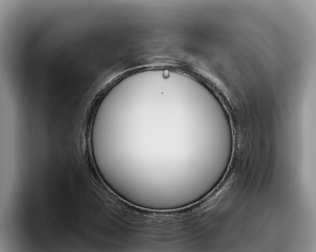 X0000096221407200801181020