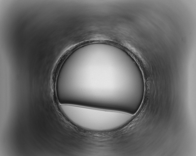 X0000096221408200801181020