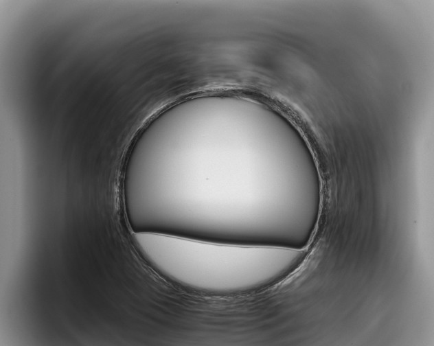 X0000096221409200801181020