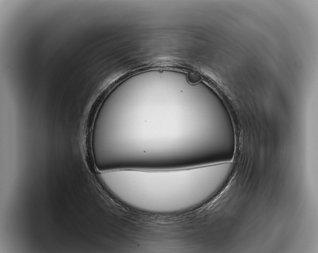 X0000096221410200801181020