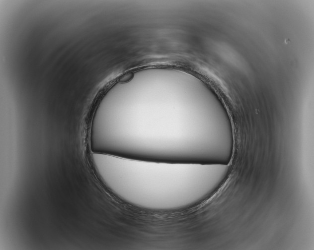 X0000096221411200801181020
