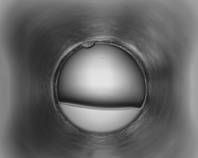 X0000096221412200801181020