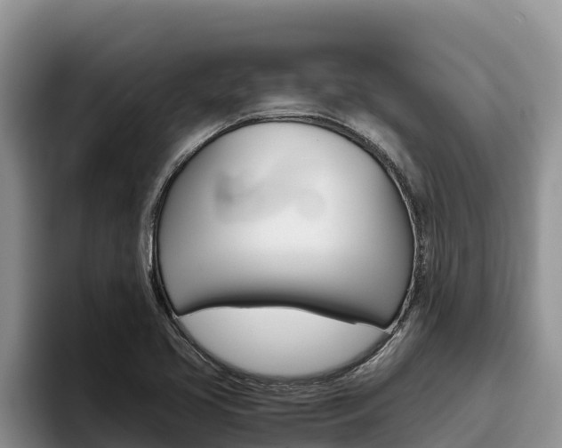 X0000096221413200801181020