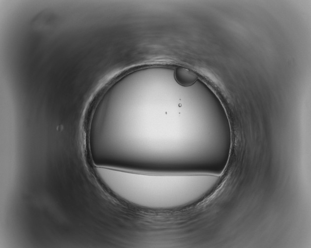 X0000096221414200801181020