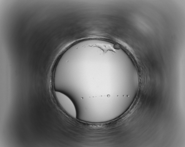 X0000096221415200801181020