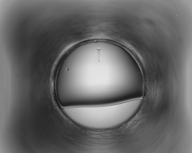 X0000096221416200801181020