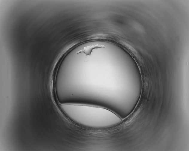 X0000096221418200801181020
