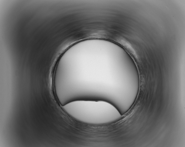 X0000096221419200801181020