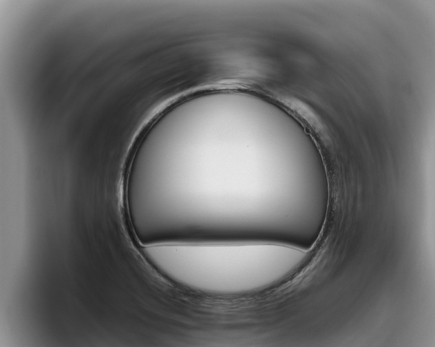 X0000096221420200801181020
