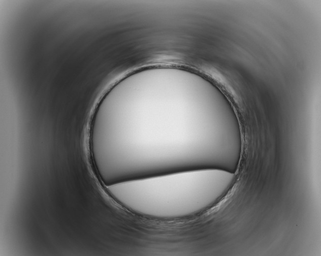 X0000096221421200801181020