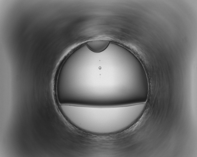 X0000096221422200801181020