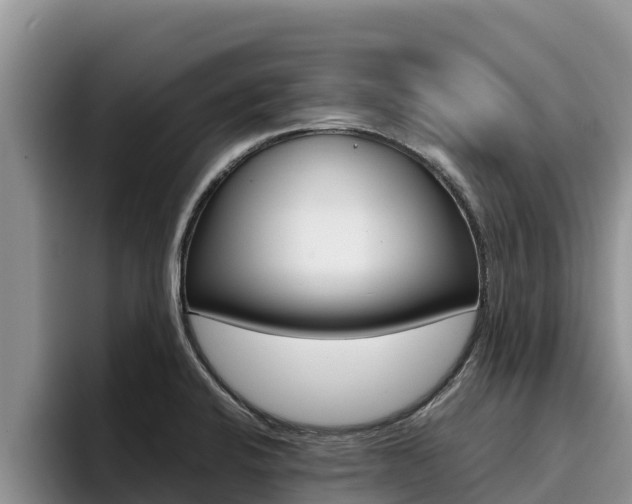 X0000096221424200801181020
