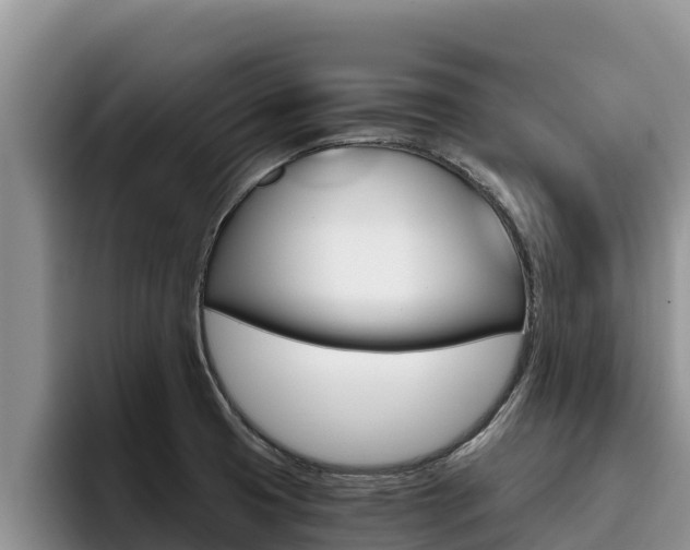 X0000096221425200801181020