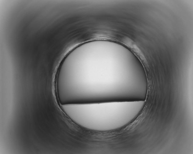 X0000096221427200801181020