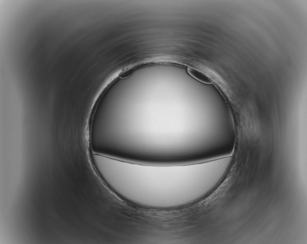 X0000096221428200801181020