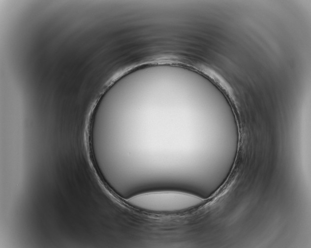 X0000096221429200801181020