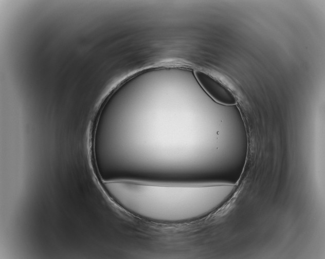 X0000096221430200801181020