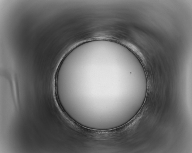 X0000096221431200801181020
