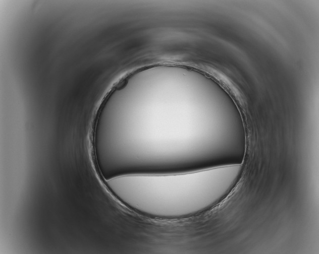 X0000096221432200801181020