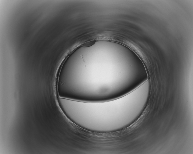 X0000096221434200801181020