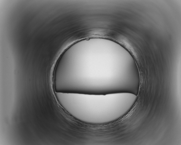 X0000096221435200801181020