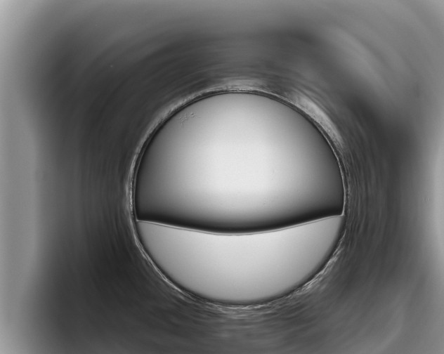 X0000096221436200801181020