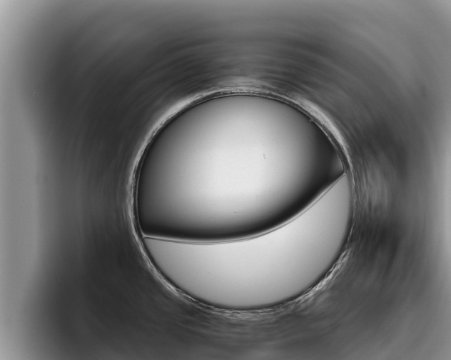X0000096221437200801181020