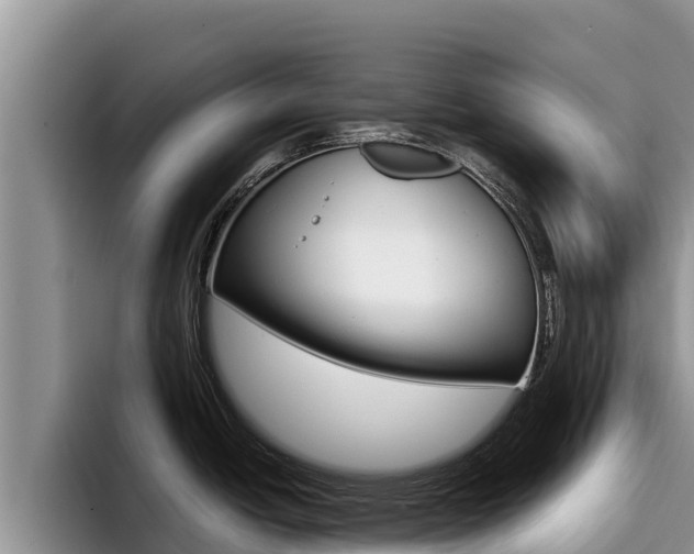 X0000096221438200801181020