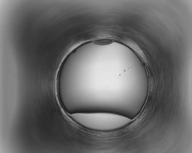 X0000096221439200801181020