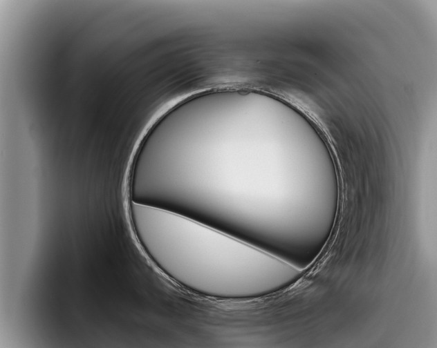 X0000096221440200801181020