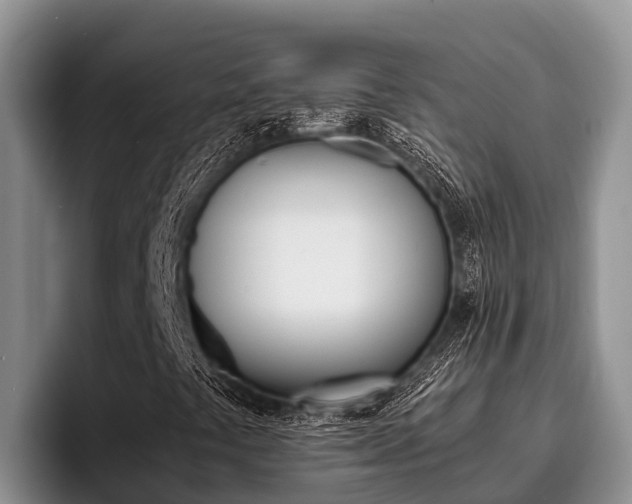 X0000096221441200801181020