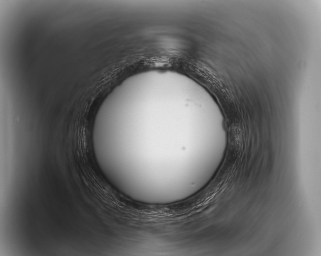 X0000096221442200801181020