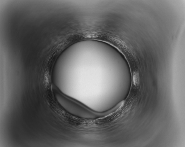 X0000096221444200801181020