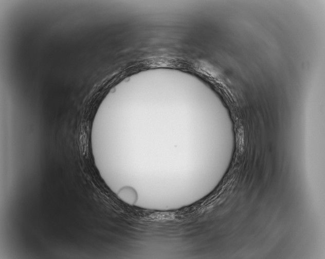X0000096221446200801181020
