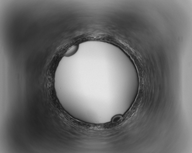 X0000096221447200801181020