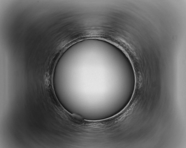 X0000096221449200801181020