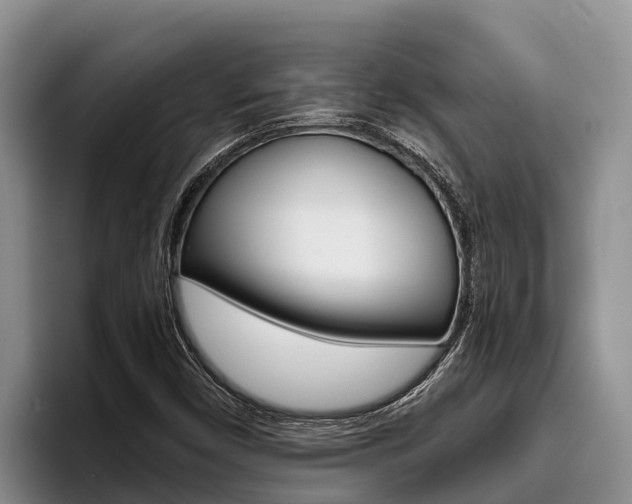 X0000096221450200801181020