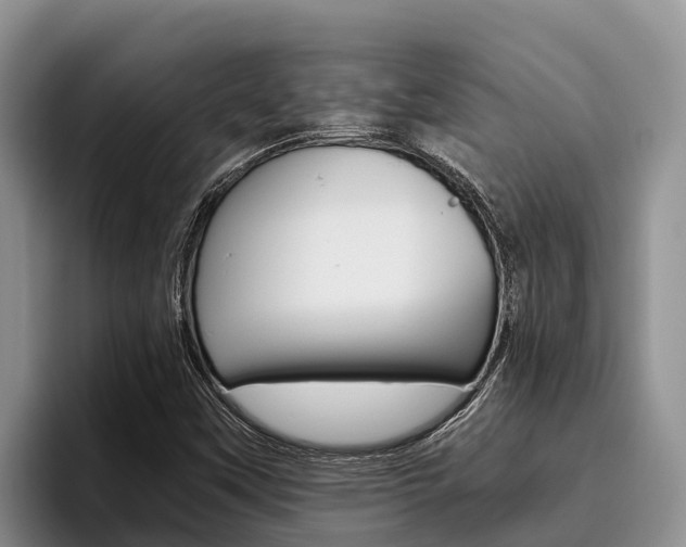 X0000096221451200801181020