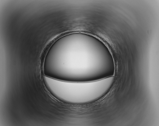 X0000096221452200801181020