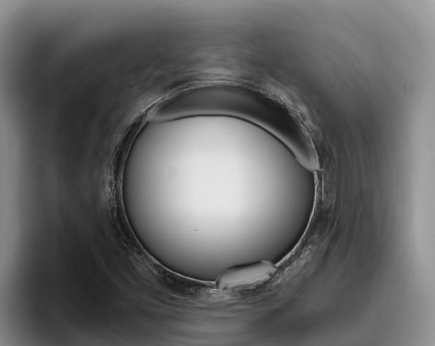 X0000096221453200801181020
