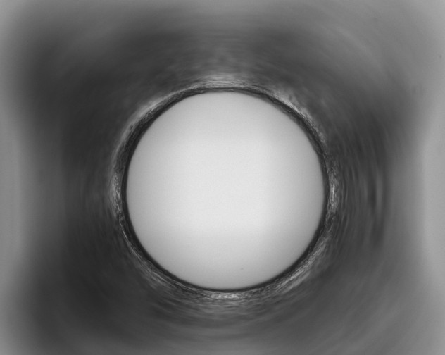 X0000096221454200801181020